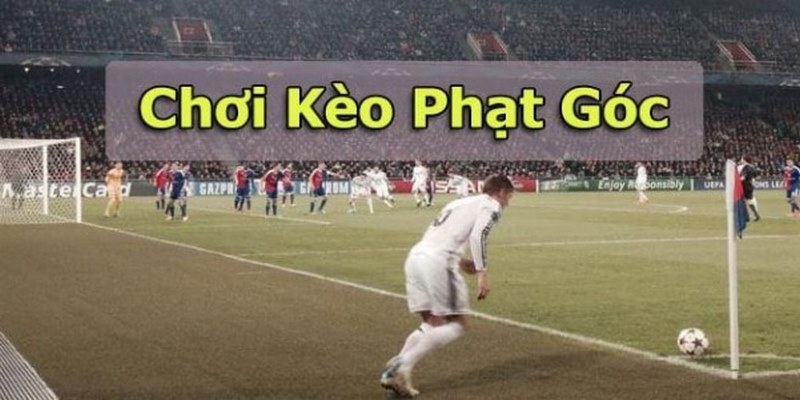 Những loại kèo phạt góc phổ biến ở nhà cái