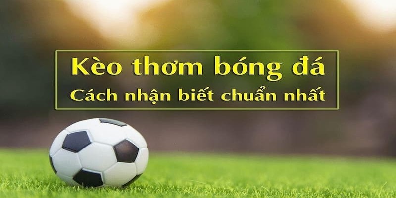 Cách tìm kiếm kèo thơm bóng đá để đặt cược