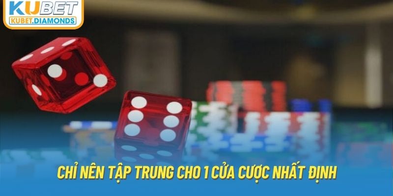 Chỉ nên tập trung cho 1 cửa cược nhất định