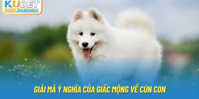 Giải mã ý nghĩa của giấc mộng về cún con