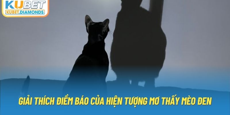 Giải thích điềm báo của hiện tượng mơ thấy mèo đen