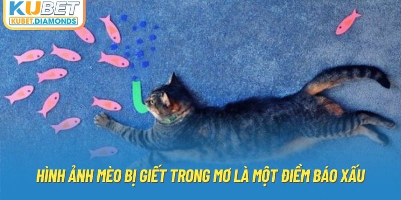 Hình ảnh mèo bị giết trong mơ là một điềm báo xấu