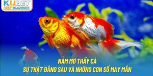 Nằm Mơ Thấy Cá - Sự Thật Đằng Sau Và Những Con Số May Mắn