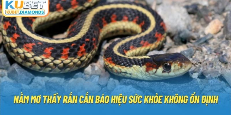 Nằm mơ thấy rắn cắn báo hiệu sức khỏe không ổn định